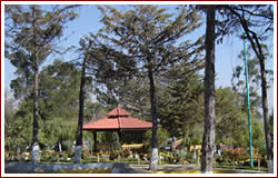 Parque el Cerrito de la Libertad